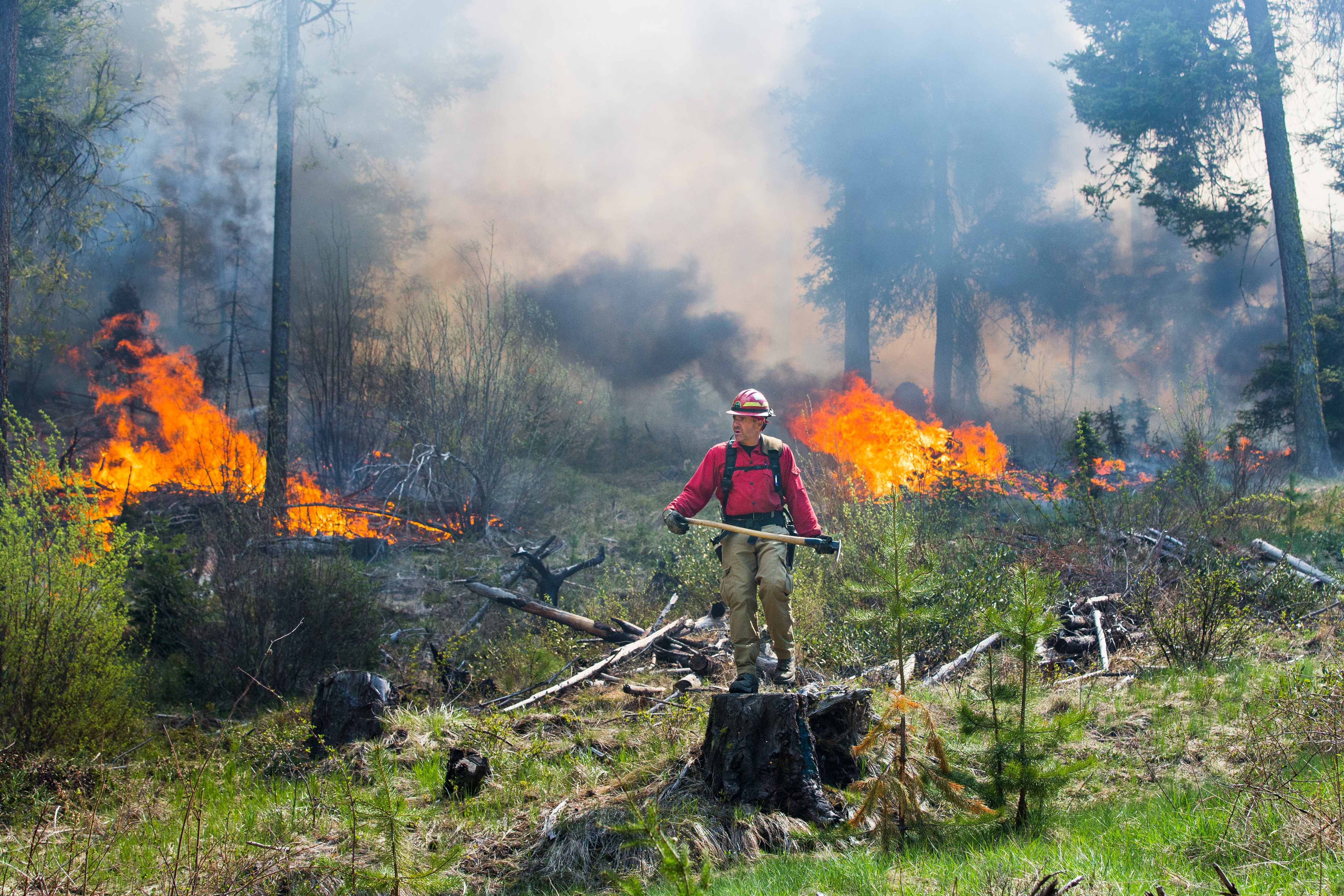 Coronavirus threatens response to wildfires; firefighter camps ‘ideal’ to spread disease
