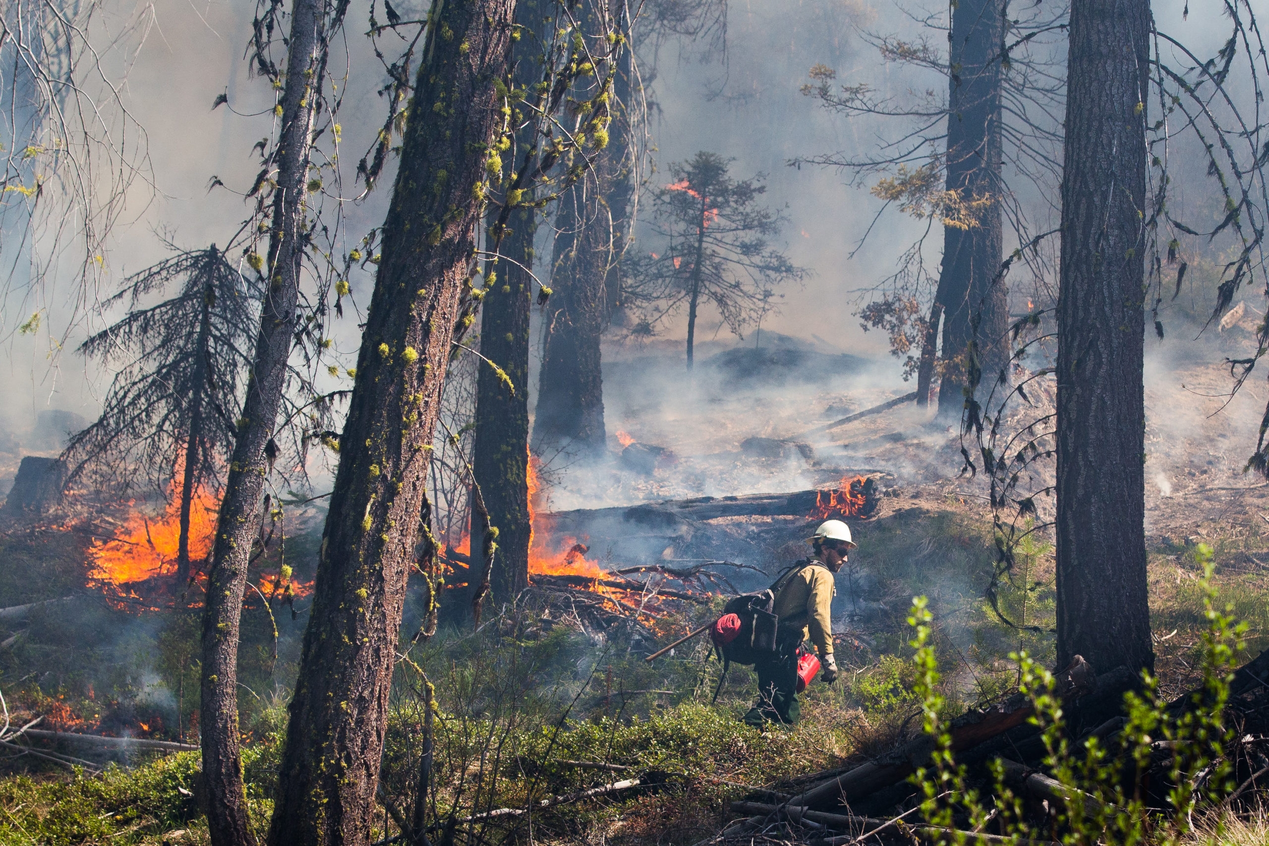 How have wildfires affected you? Tell us your story