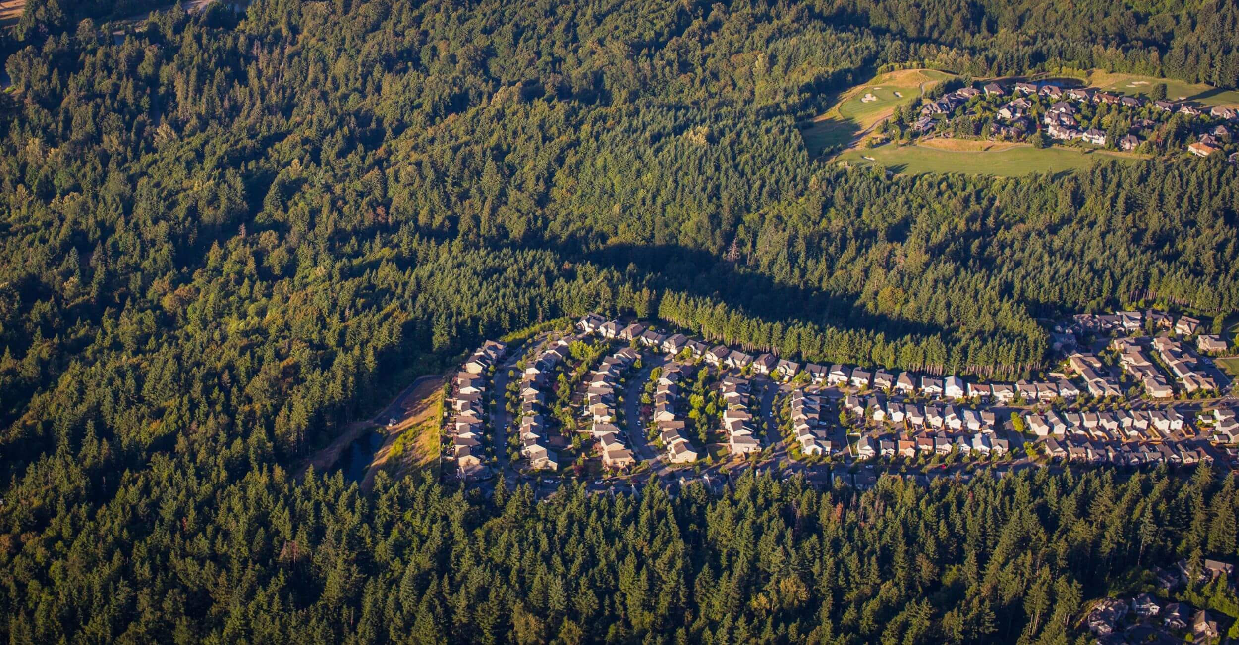 An aerial shot of a tree-filled landscape. In the center, a cluster of houses juts into the otherwise green, uninterrupted forest.
