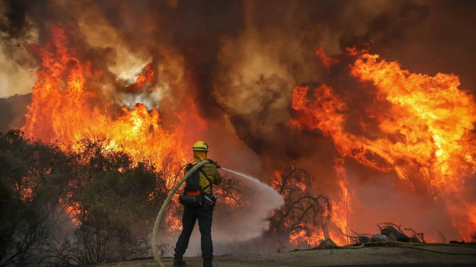The cost of wildfires is rising. But by how much?
