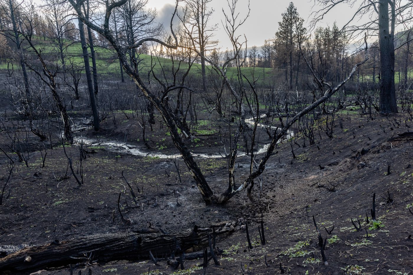The world’s least understood ignition source is causing devastating wildfires
