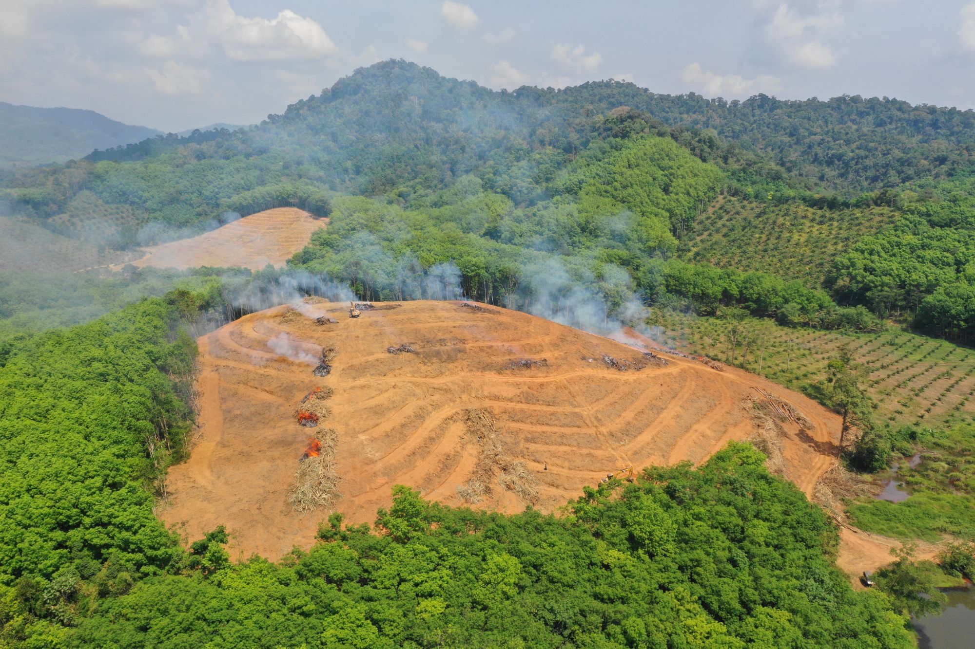 A portion of rainforest being burned away.
