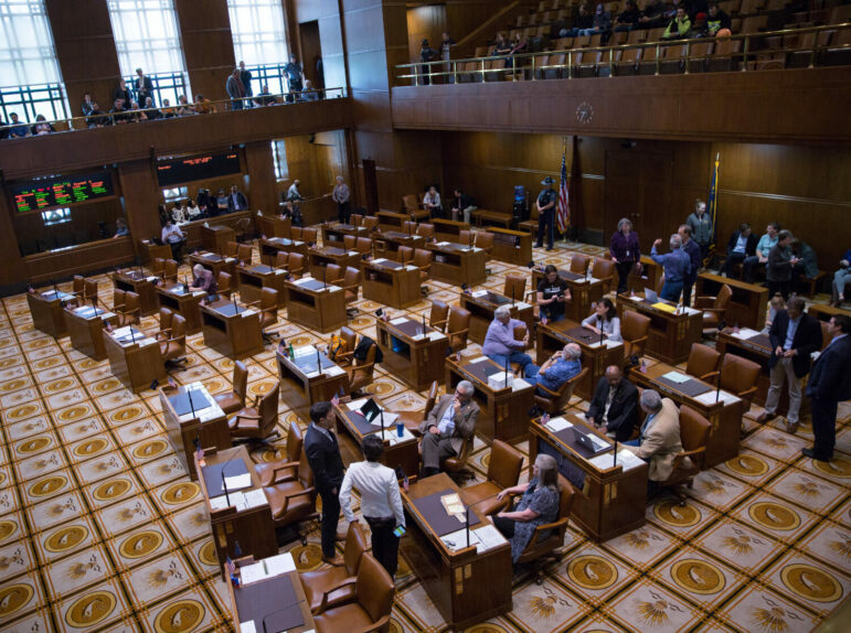 A photo taken from a balcony in a lawmaking chamber.