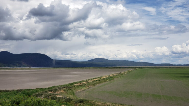 A photo of farmland and mountains in the background.
