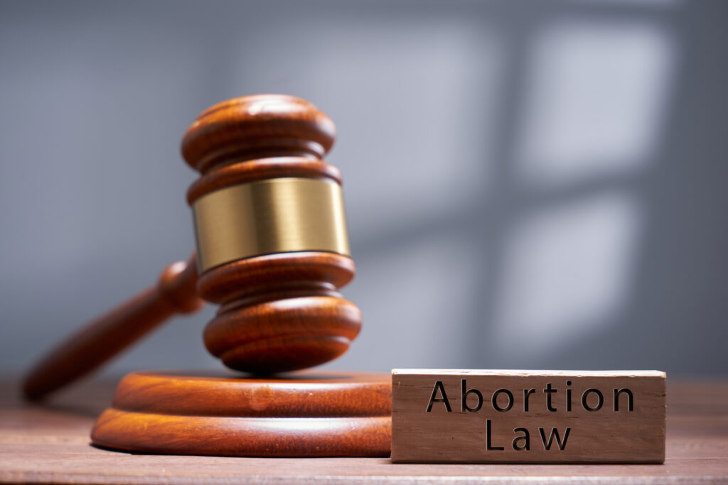 Idaho educators file federal lawsuit over ‘no public funds for abortion’ law