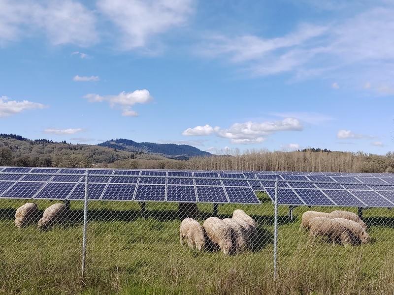 Oregon’s first large-scale solar park and farm hinges on 50-year-old land use laws