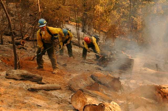 Oregon needs more money to fight big wildfires. Who should pay for it?
